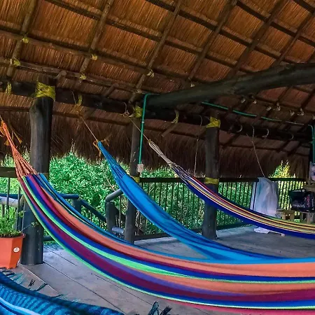 Pensión Sabaleo House *